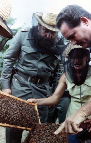 Recorrido por el plan apícola de Herradura, Pinar del Río, 31 de agosto de 1981. Foto Estudios Revolución