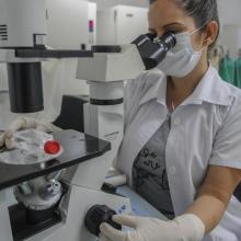 La Academia de Ciencias de Cuba está enfocada en atender a los jóvenes científicos y en estimular su participación en proyectos investigativos que respondan a las necesidades del país. Foto: Jose M. Correa