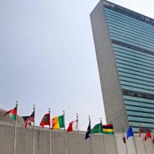 La diplomática cubana abogó en las Naciones Unidas por eliminar la utilización del tema de los derechos humanos como un arma de ataque