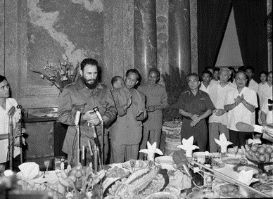 fidel en vietnam