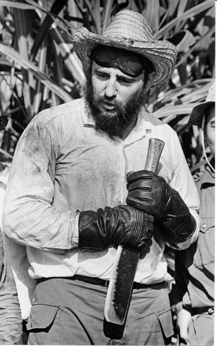 No fueron pocas las ocasiones en las que Fidel compartió codo a codo el trabajo con los macheteros, en los cortes de caña. Foto: Walfrido Ojeda