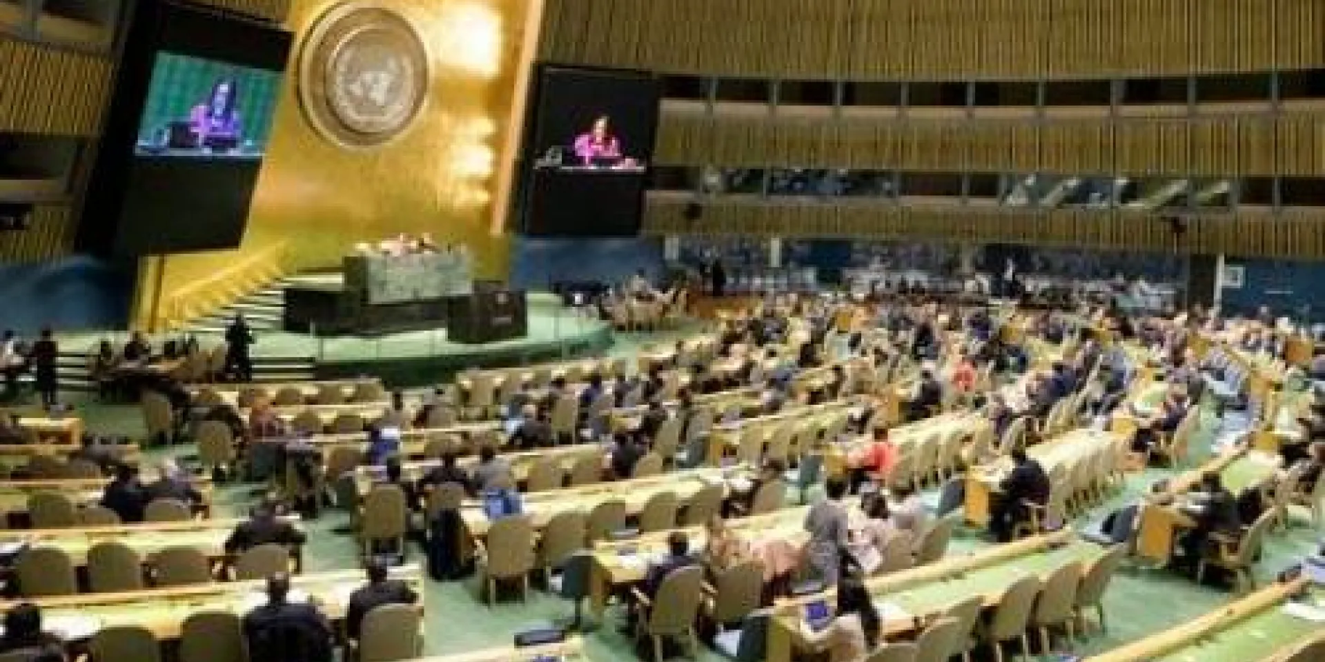 Asamblea General de la ONU