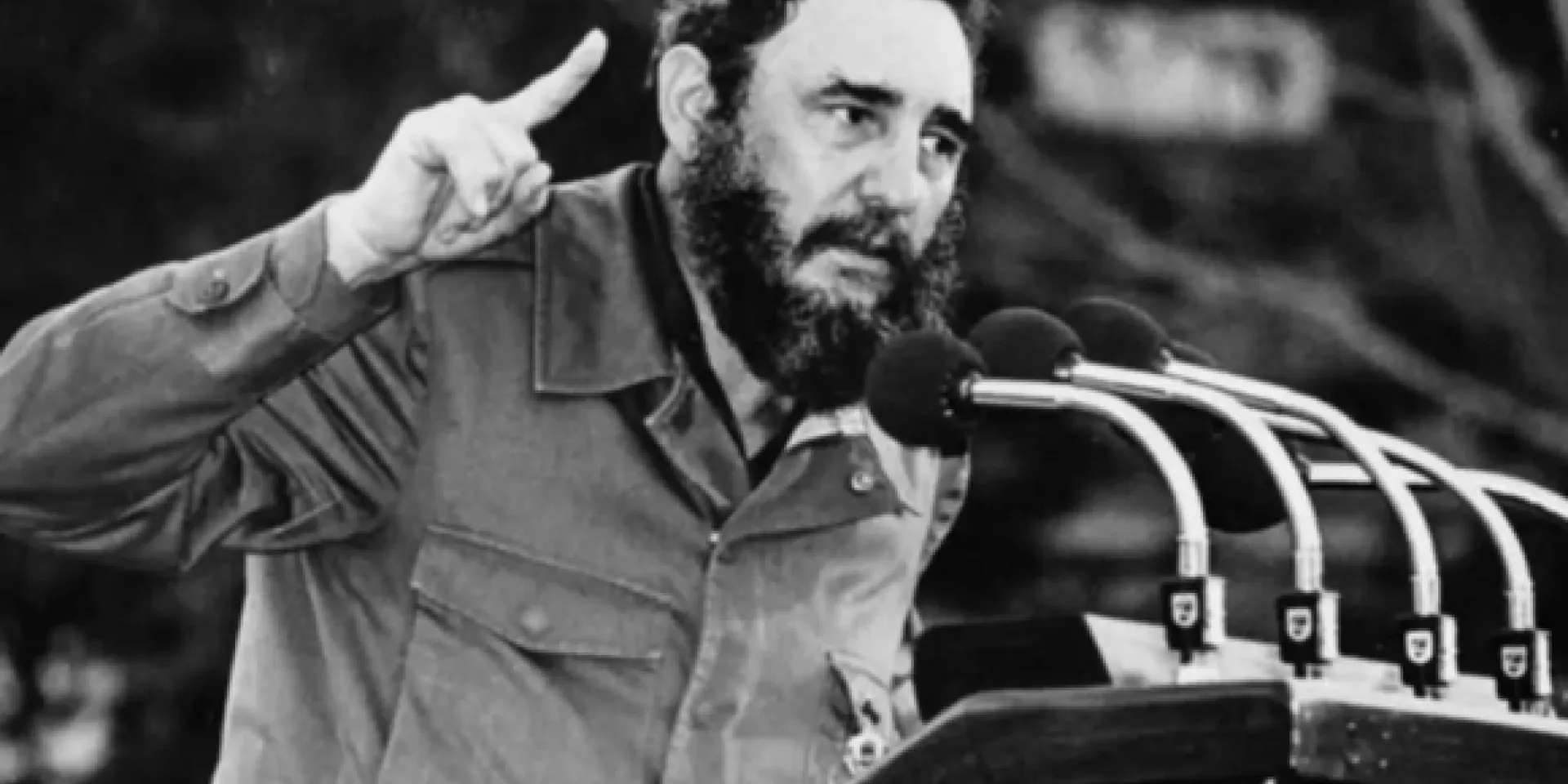 fidel