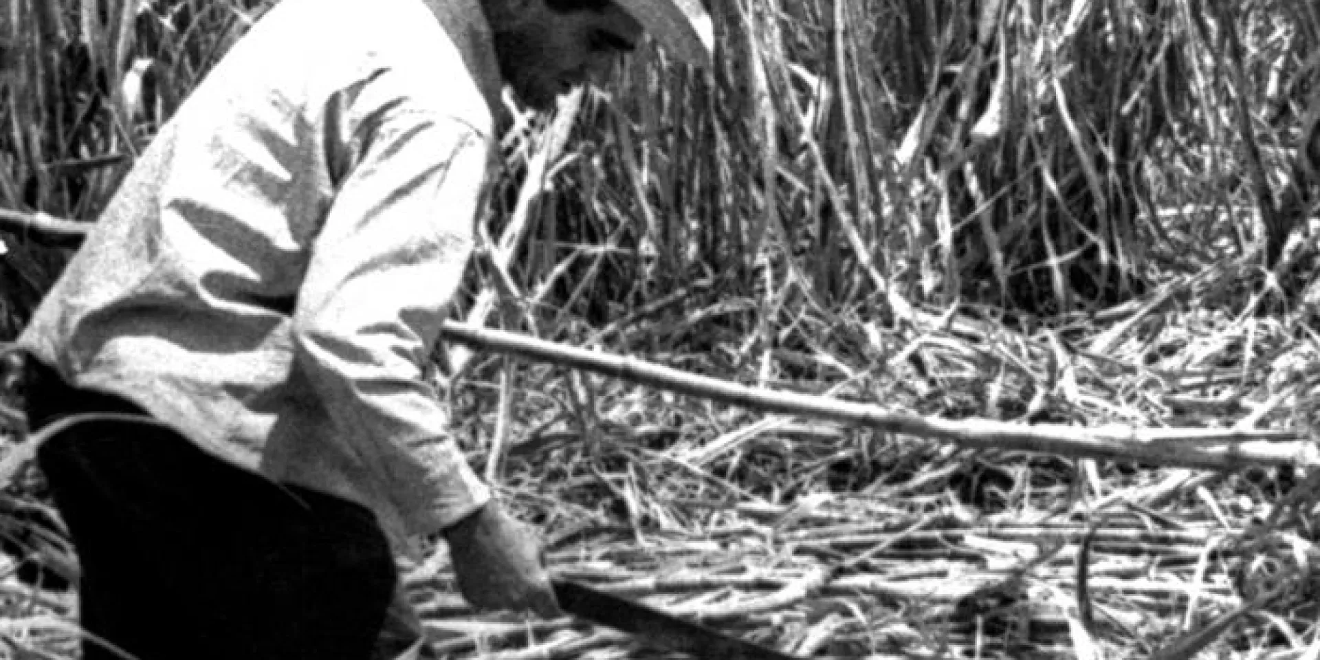 Reinaldo Castro Yedra, el mejor cortador de caña que conoció nuestro país, asume que su mayor orgullo es haberle sido fiel a Fidel