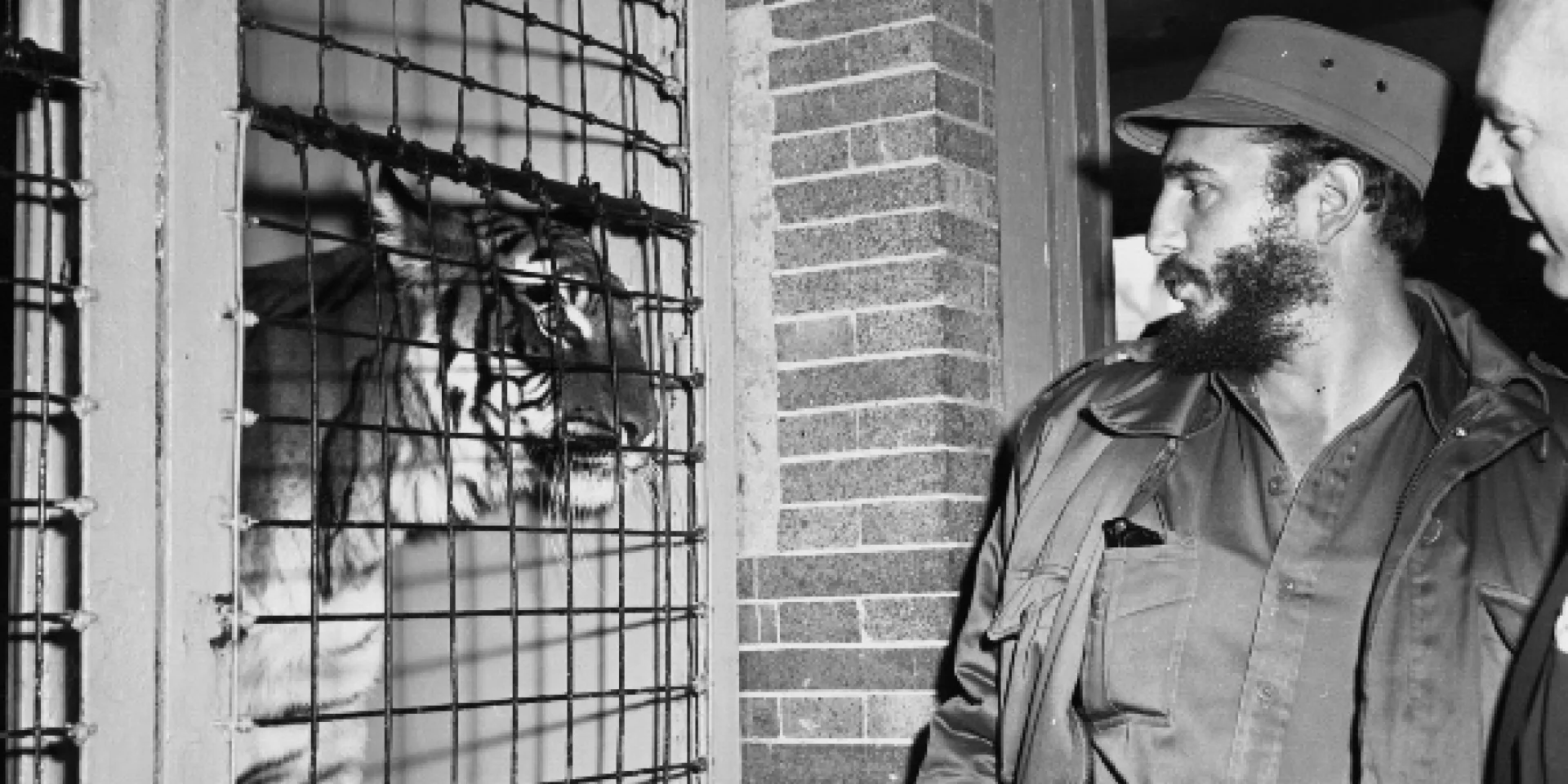 Fidel frente a la jaula del tigre en el Zoologico de Bronx en su primera visita. Foto: Revolución