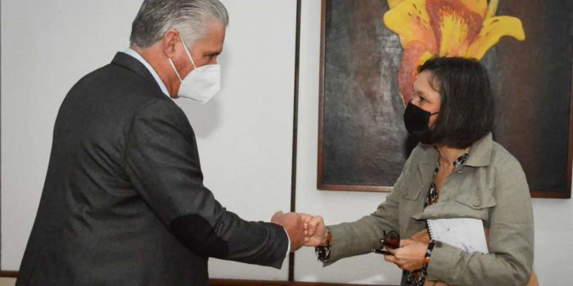 Miguel Díaz-Canel Bermúdez, Primer Secretario del Partido y Presidente de la República, saluda a Sylvia Schwaag Serger, quien impartió una conferencia ante el Consejo Nacional de Innovación de la Isla. Foto: Estudios Revolución
