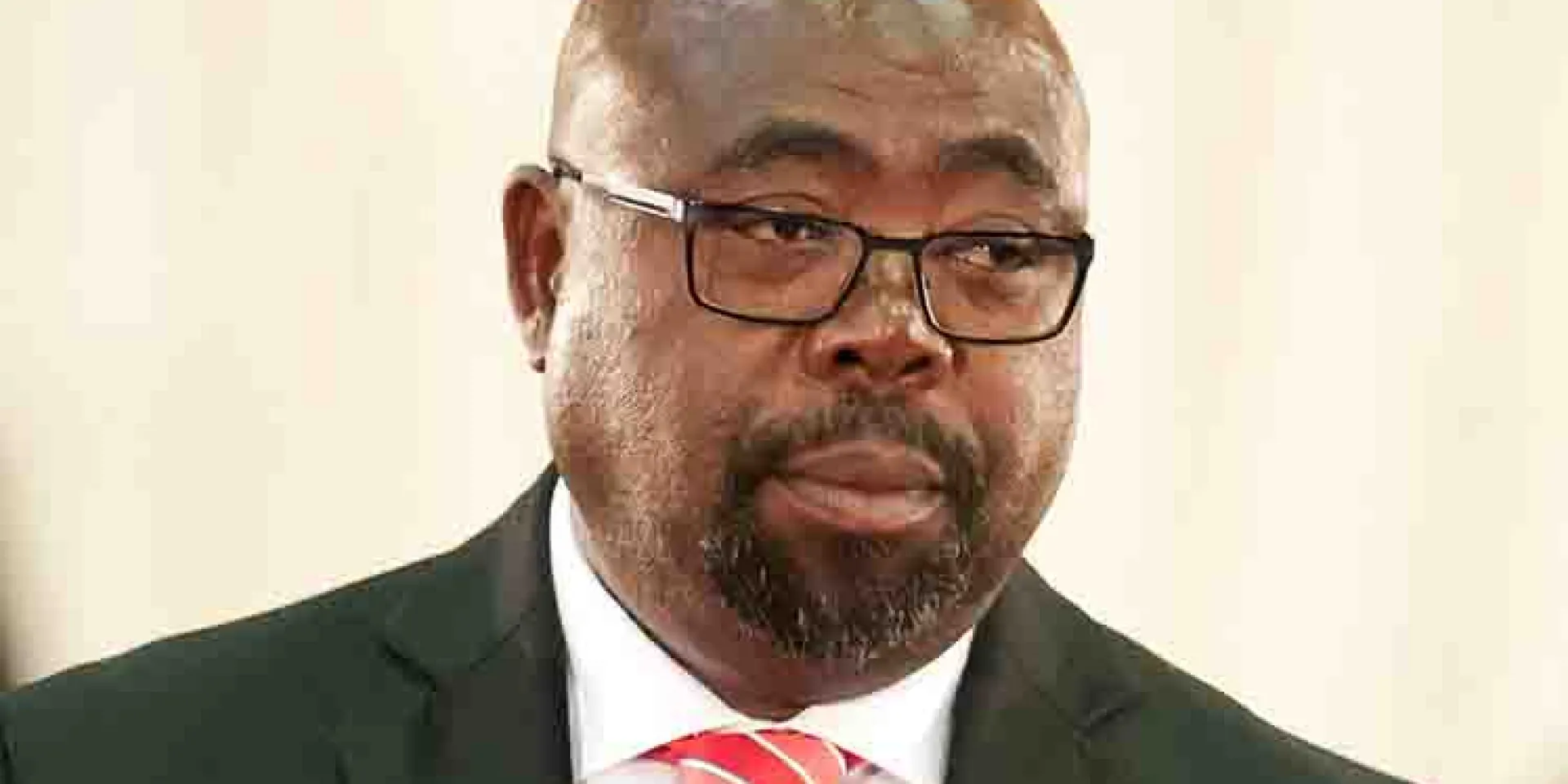 Ministro sudafricano de Obras Públicas, Thulas Nxesi