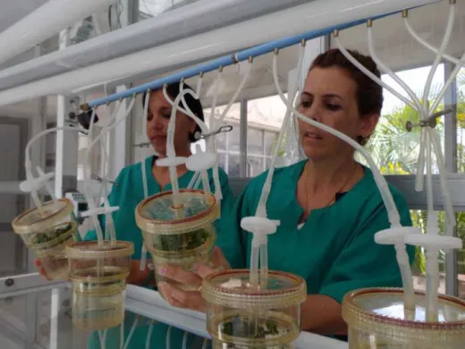 A Fidel se debe la creación del Instituto de Biotecnología de las Plantas. Foto: Del autor
