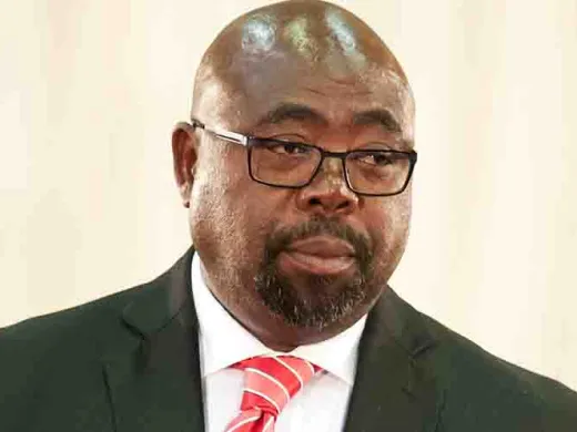 Ministro sudafricano de Obras Públicas, Thulas Nxesi Ministro sudafricano de Obras Públicas, Thulas Nxesi