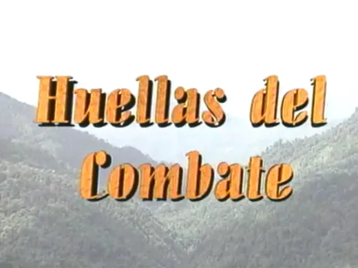 Video no soportado